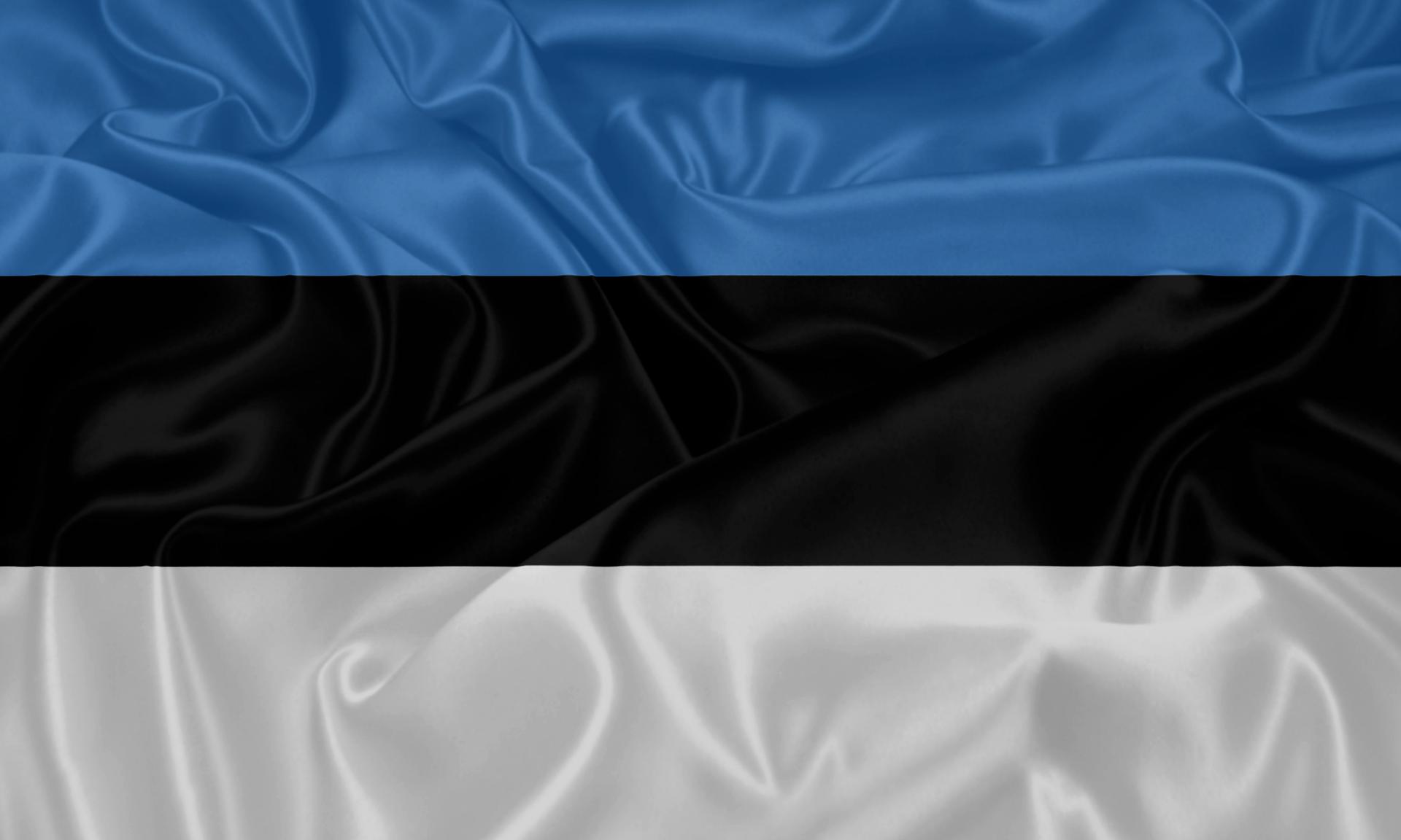 Estonian flag.